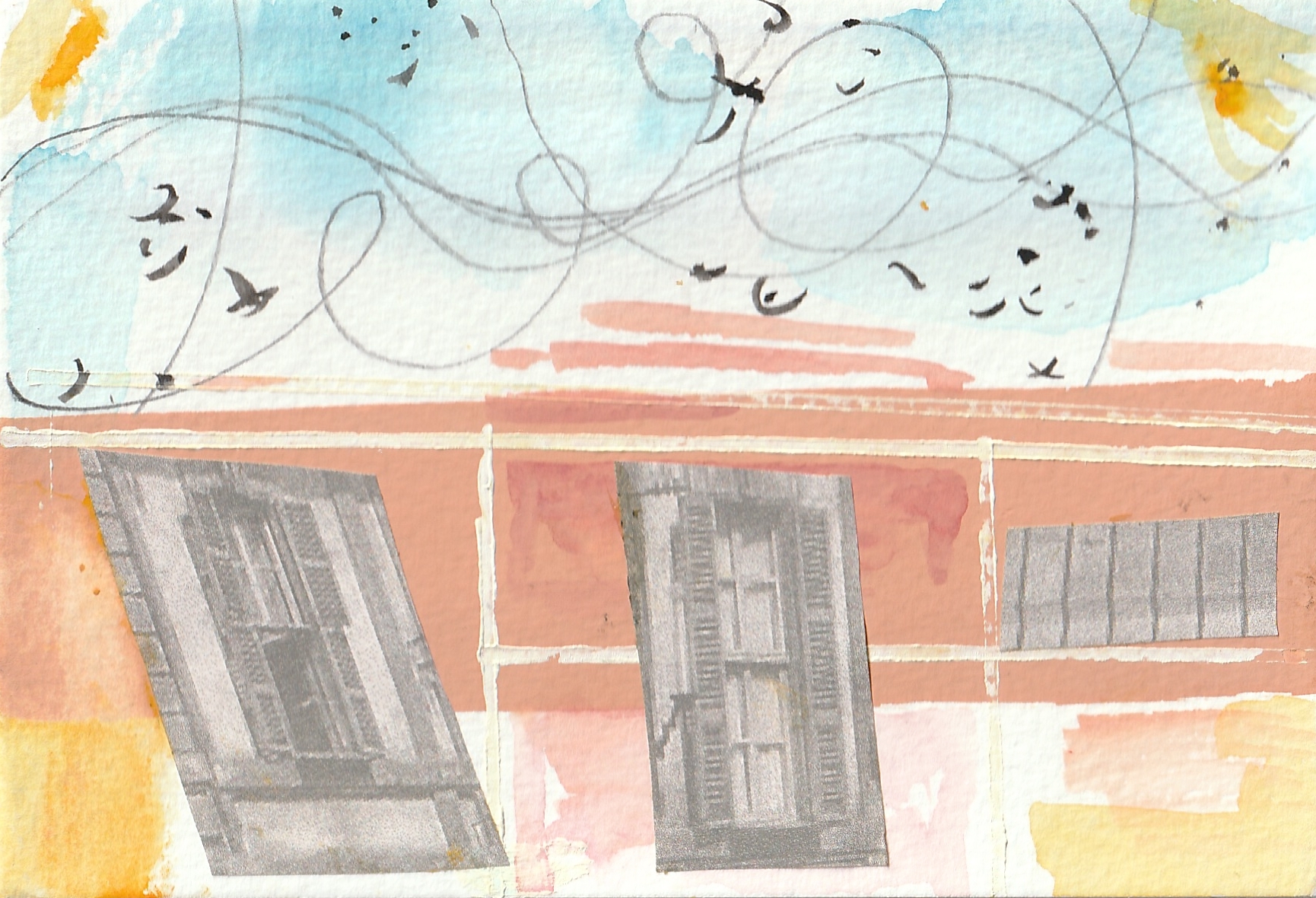 Cuneo birds I